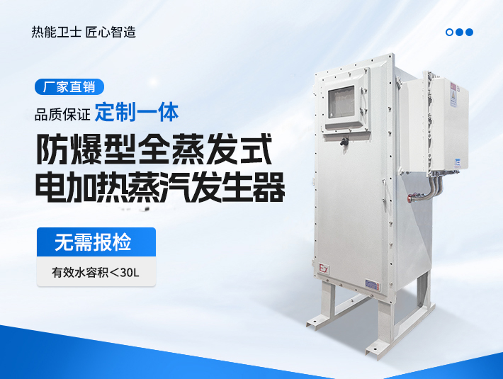 定制一體防爆全蒸發式電加熱蒸汽發生器